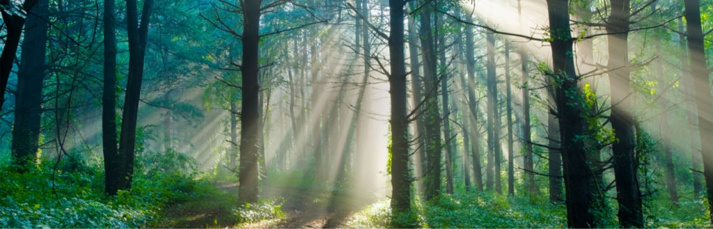 Odoo • Kép és szöveg